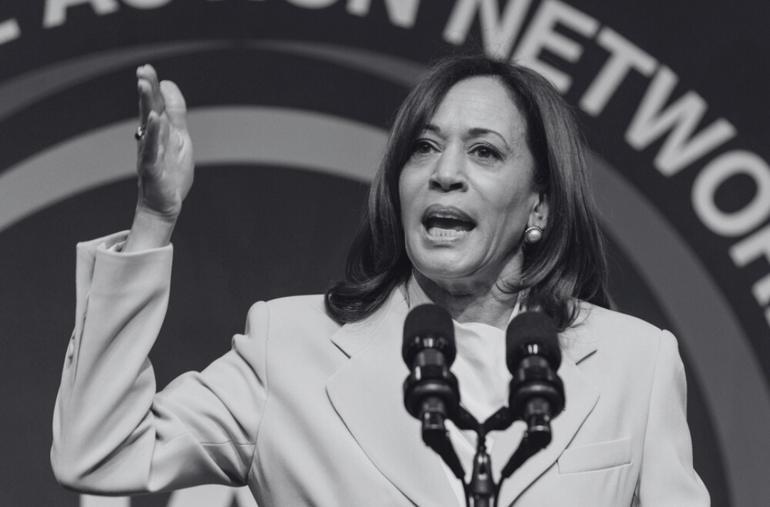 Vice President Kamala Harris speaks during NAN 2023 (Shutterstock)